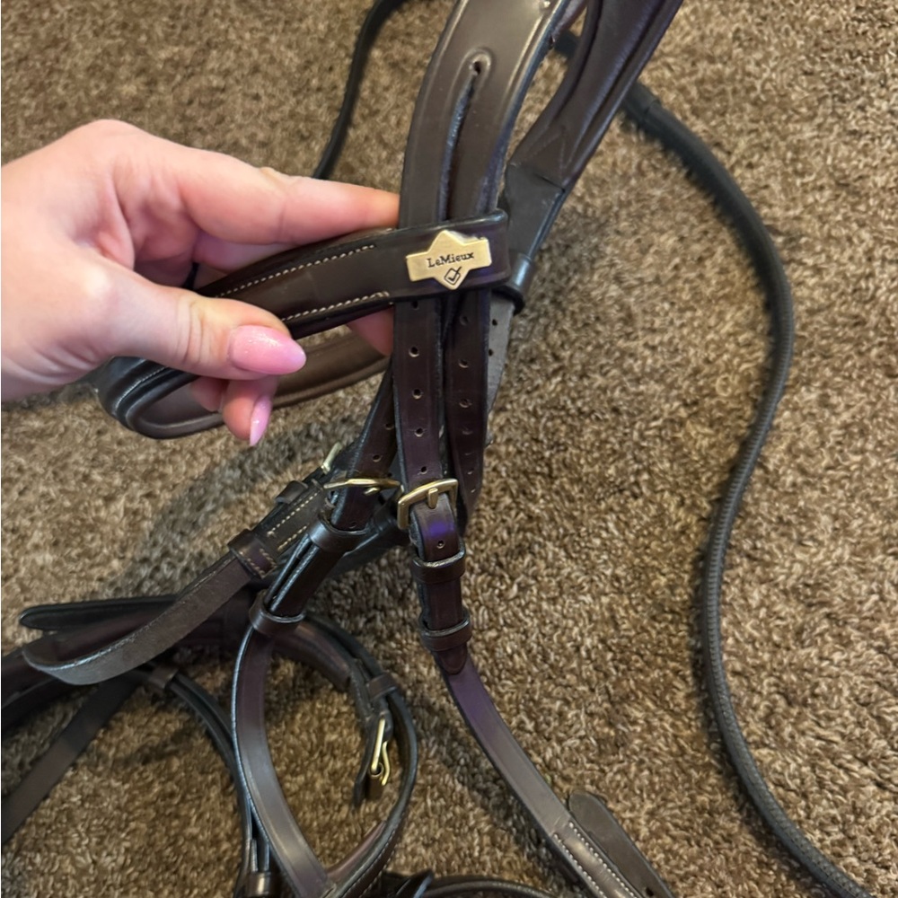 Kudos Competition Flash Bridle Havana - Picture 5 of 9